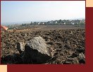 Podzimn orba